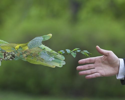 1024x634_protection-de-lenvironnement