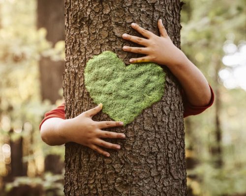 sondage-environnement-preoccupation-jeunes-enfants